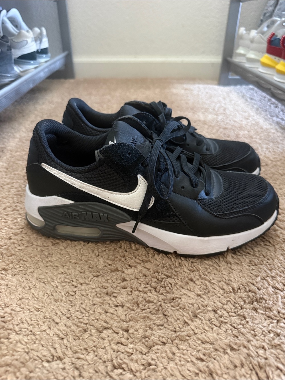 Nike Men’s Black and White Air Max Low-Top Sneakers